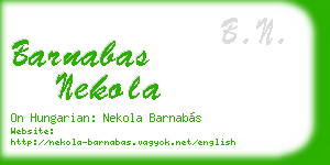 barnabas nekola business card